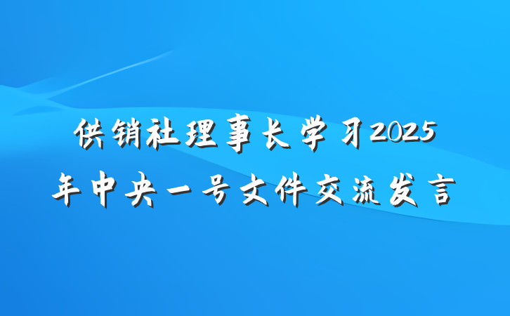 供销社理事长学习2025年中央一号文件交流发言