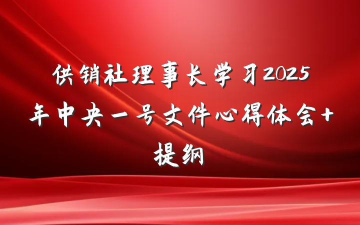 供销社理事长学习2025年中央一号文件心得体会 提纲