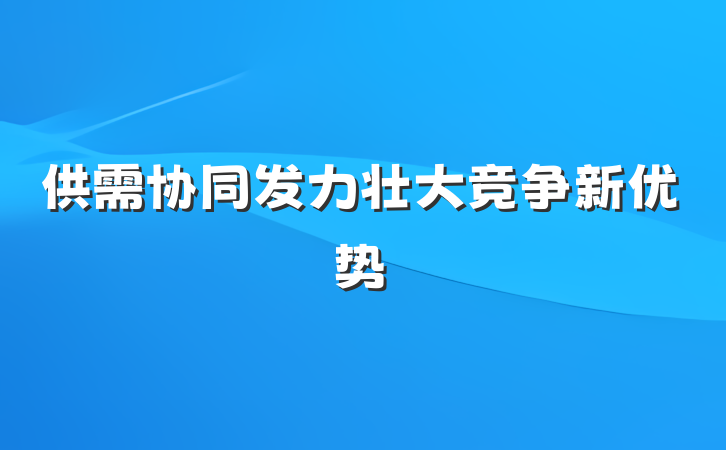 供需协同发力壮大竞争新优势