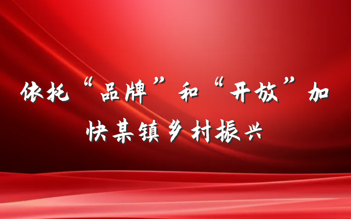 依托“品牌”和“开放”加快某镇乡村振兴