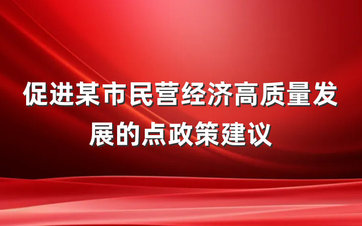 促进某市民营经济高质量发展的点政策建议