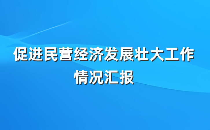促进民营经济发展壮大工作情况汇报