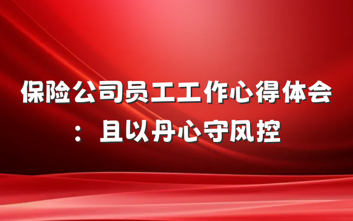保险公司员工工作心得体会：且以丹心守风控