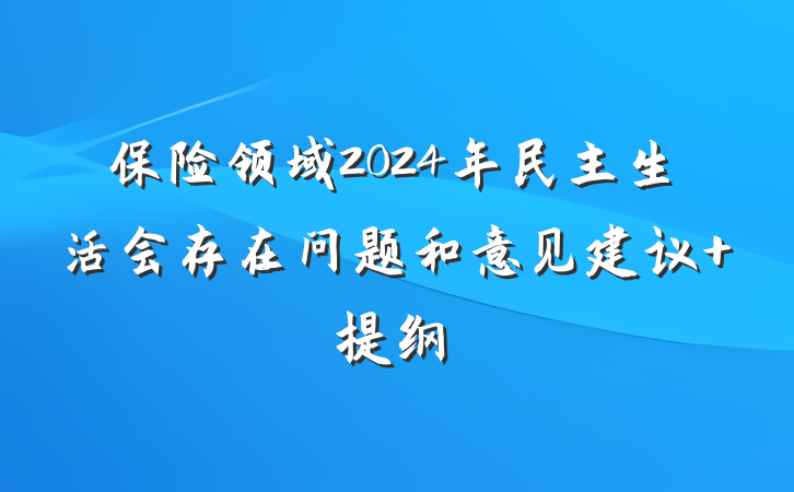 保险领域2024年民主生活会存在问题和意见建议 提纲