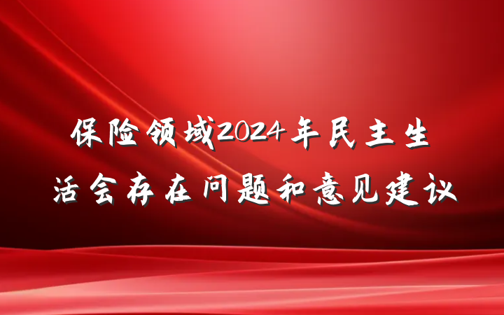 保险领域2024年民主生活会存在问题和意见建议