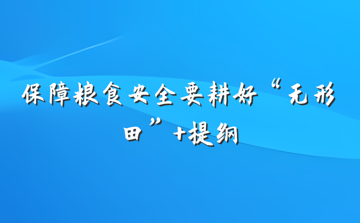 保障粮食安全要耕好“无形田” 提纲