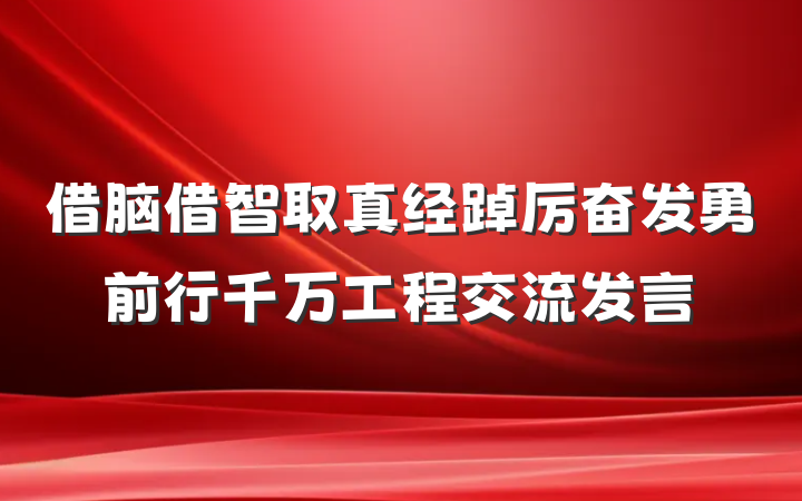 借脑借智取真经踔厉奋发勇前行千万工程交流发言