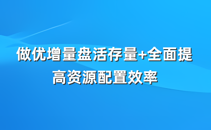 做优增量盘活存量 全面提高资源配置效率