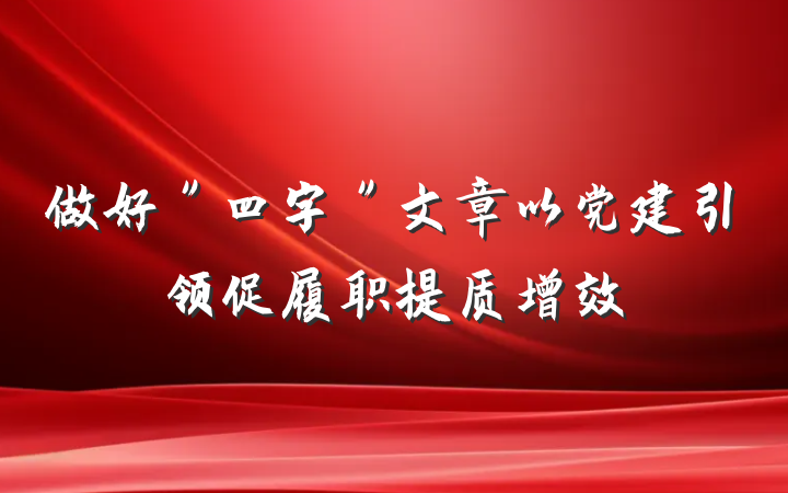 做好＂四字＂文章以党建引领促履职提质增效