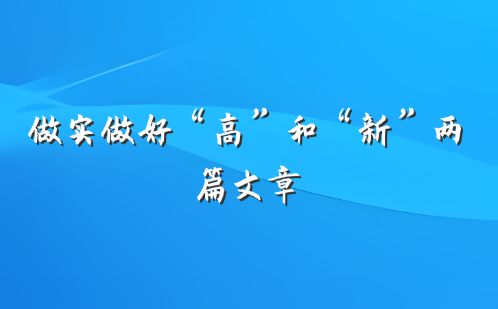 做实做好“高”和“新”两篇文章