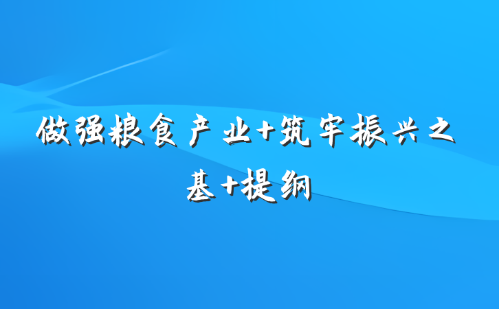 做强粮食产业 筑牢振兴之基 提纲