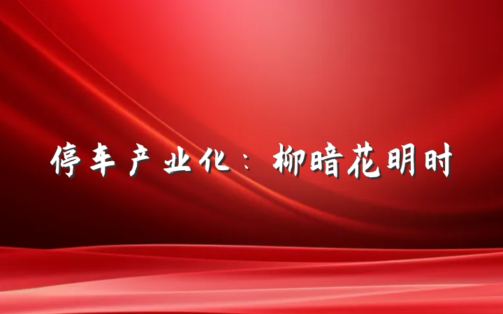停车产业化：柳暗花明时