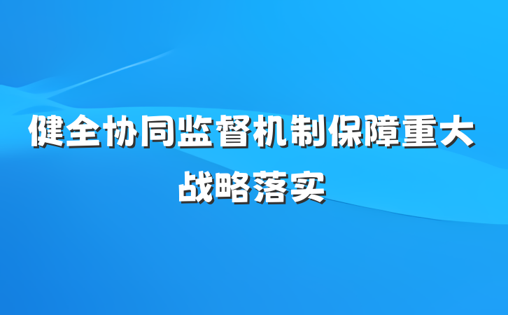 健全协同监督机制保障重大战略落实