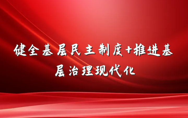 健全基层民主制度 推进基层治理现代化