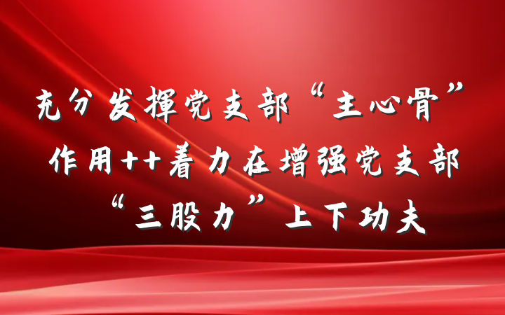 充分发挥党支部“主心骨”作用  着力在增强党支部“三股力”上下功夫