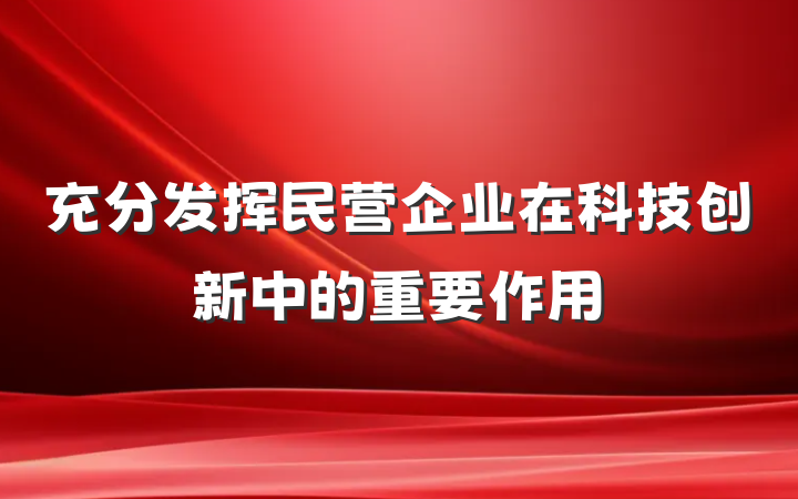 充分发挥民营企业在科技创新中的重要作用