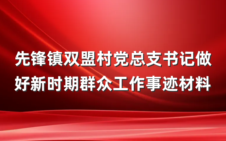 先锋镇双盟村党总支书记做好新时期群众工作事迹材料