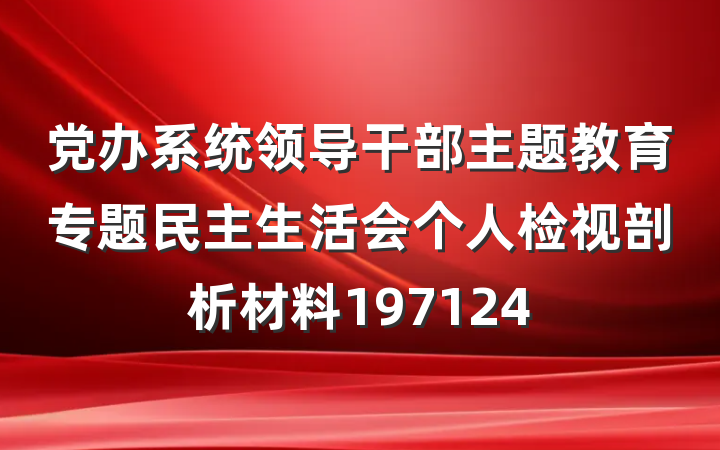 党办系统领导干部主题教育专题民主生活会个人检视剖析材料197124