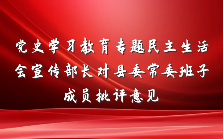 党史学习教育专题民主生活会宣传部长对县委常委班子成员批评意见