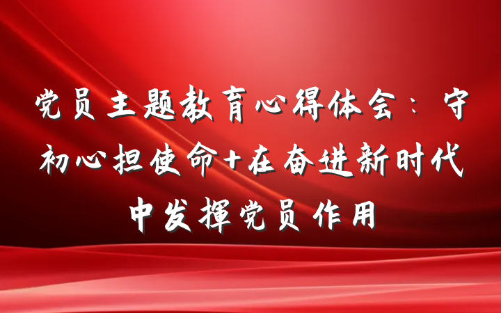 党员主题教育心得体会：守初心担使命 在奋进新时代中发挥党员作用