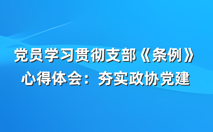 党员学习贯彻支部《条例》心得体会：夯实政协党建