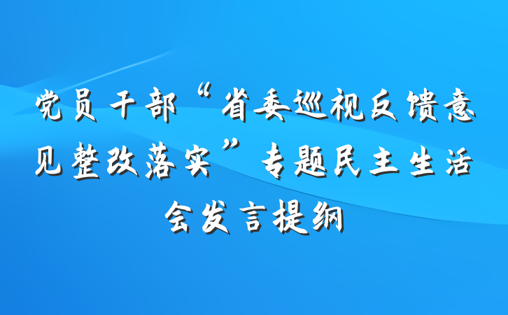 党员干部“省委巡视反馈意见整改落实”专题民主生活会发言提纲