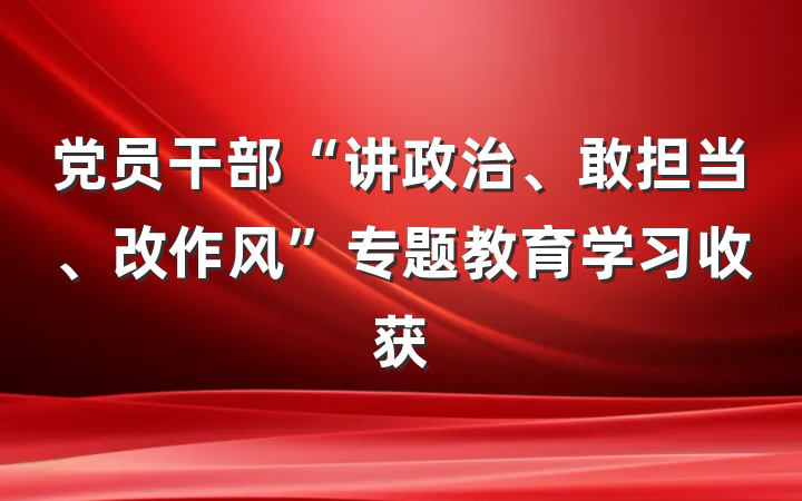 党员干部“讲政治、敢担当、改作风”专题教育学习收获
