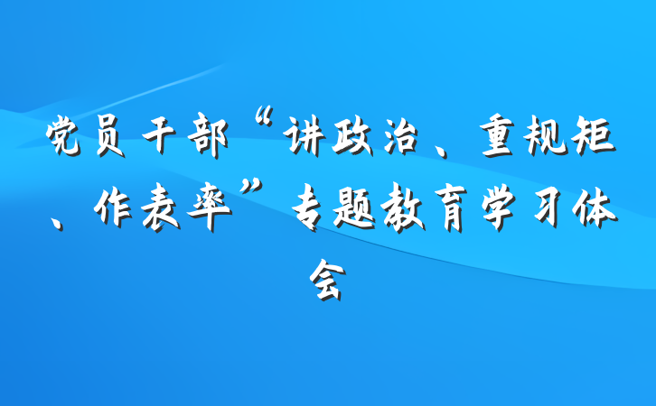 党员干部“讲政治、重规矩、作表率”专题教育学习体会