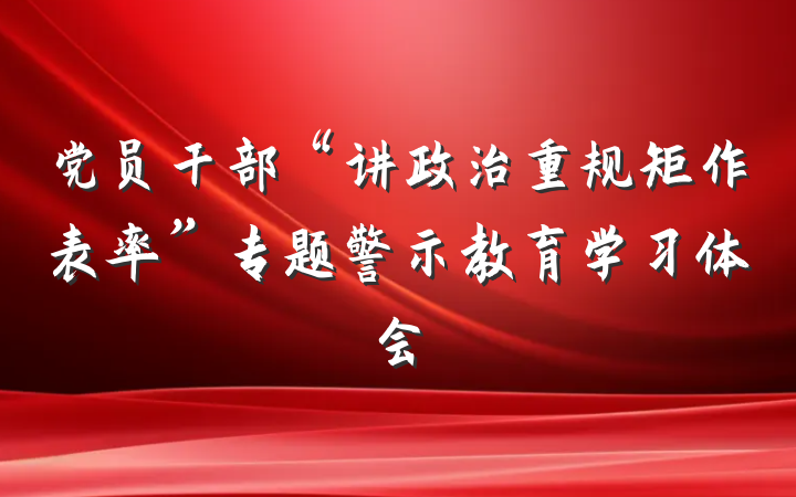 党员干部“讲政治重规矩作表率”专题警示教育学习体会