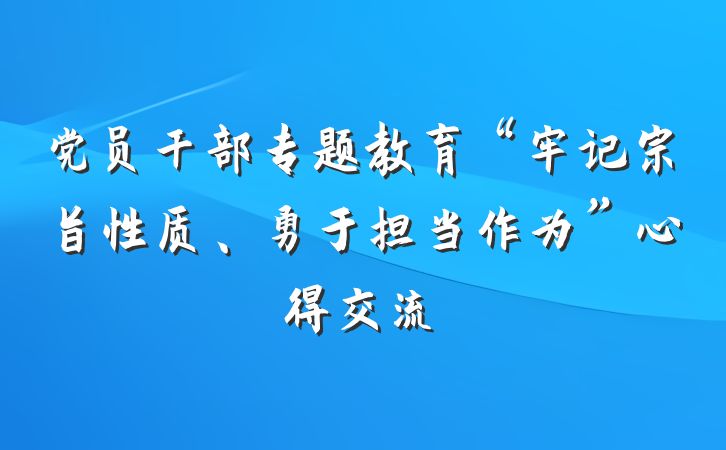 党员干部专题教育“牢记宗旨性质、勇于担当作为”心得交流