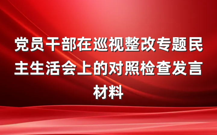 党员干部在巡视整改专题民主生活会上的对照检查发言材料