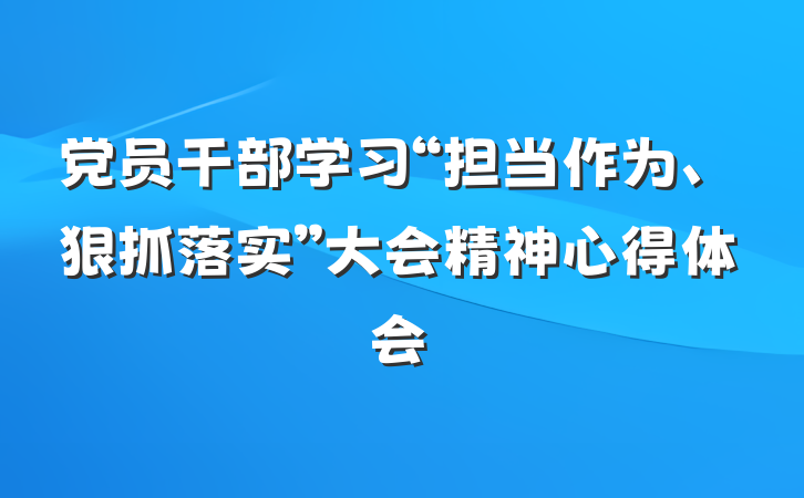 党员干部学习“担当作为、狠抓落实”大会精神心得体会