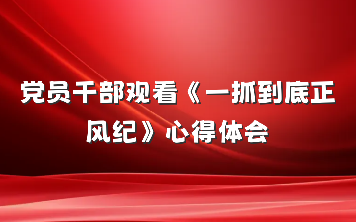党员干部观看《一抓到底正风纪》心得体会
