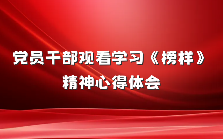 党员干部观看学习《榜样》精神心得体会