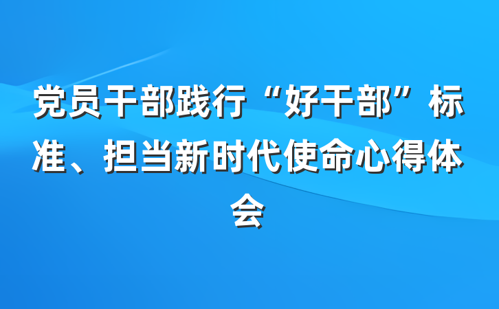 党员干部践行“好干部”标准、担当新时代使命心得体会