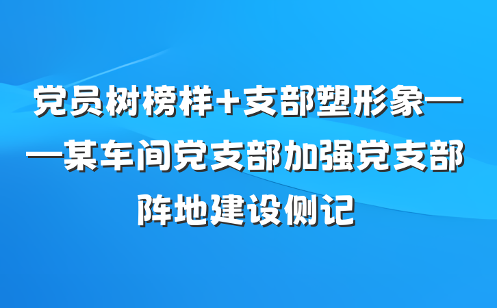 党员树榜样 支部塑形象——某车间党支部加强党支部阵地建设侧记