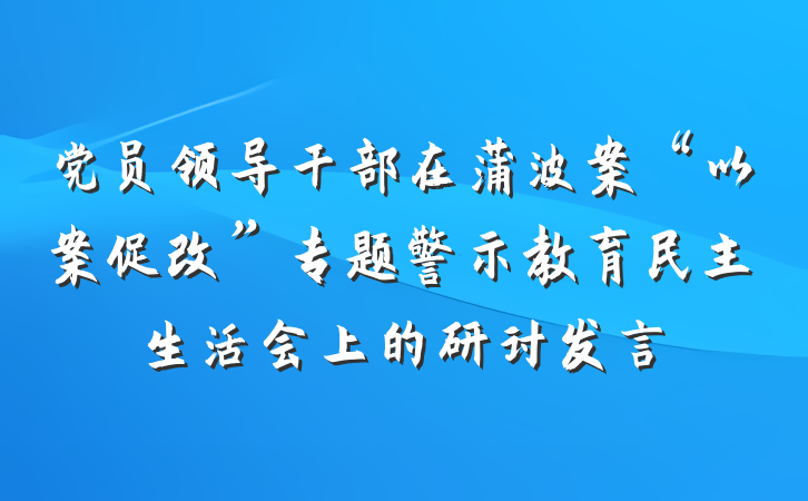 党员领导干部在蒲波案“以案促改”专题警示教育民主生活会上的研讨发言
