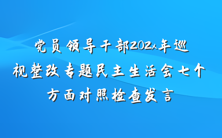 党员领导干部202x年巡视整改专题民主生活会七个方面对照检查发言