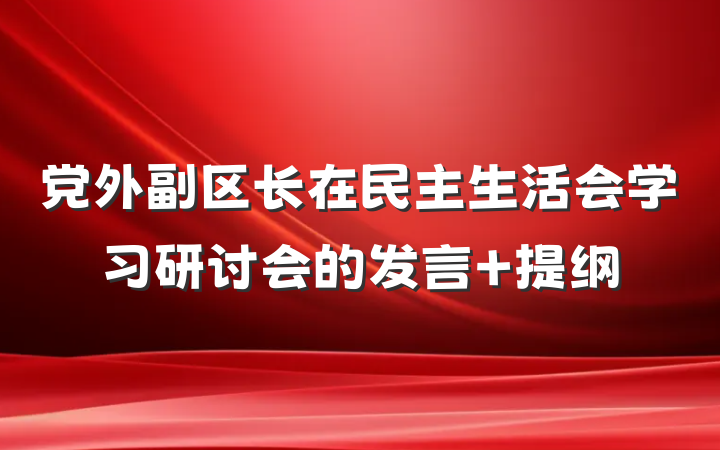 党外副区长在民主生活会学习研讨会的发言 提纲