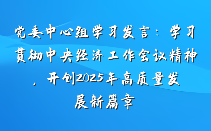 党委中心组学习发言：学习贯彻中央经济工作会议精神，开创2025年高质量发展新篇章