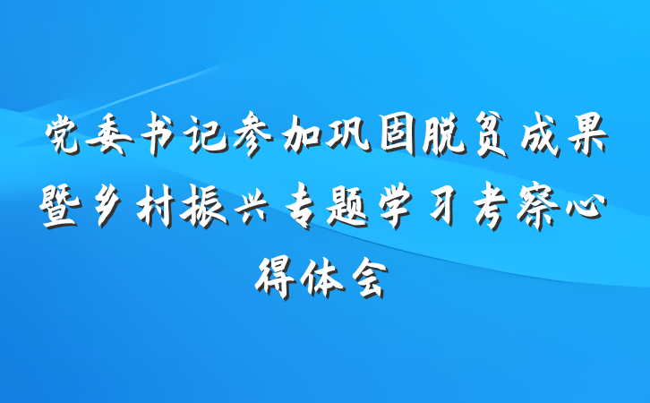 党委书记参加巩固脱贫成果暨乡村振兴专题学习考察心得体会