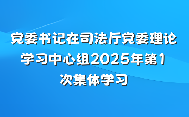 党委书记在司法厅党委理论学习中心组2025年第1次集体学习