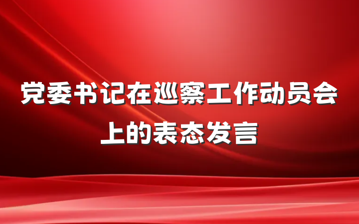 党委书记在巡察工作动员会上的表态发言