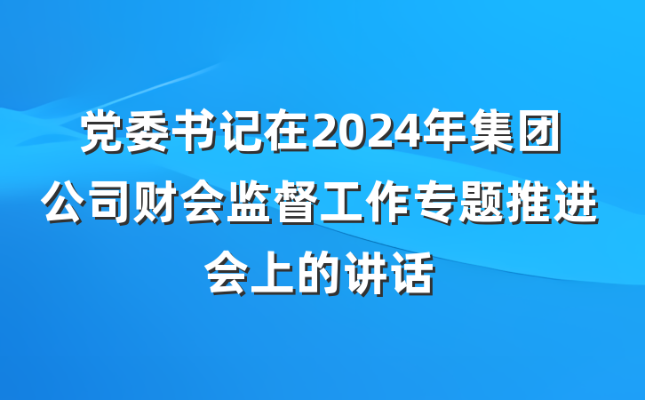 党委书记在2024年集团公司财会监督工作专题推进会上的讲话