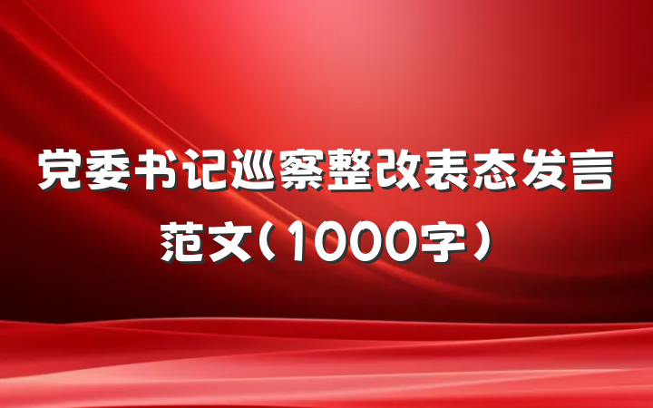 党委书记巡察整改表态发言范文（1000字）
