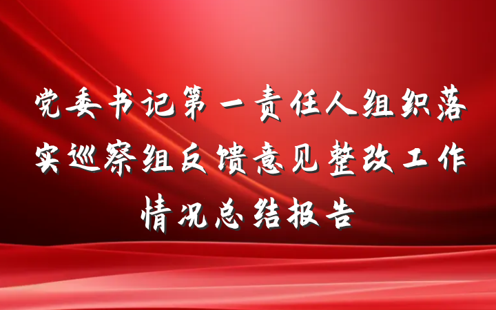 党委书记第一责任人组织落实巡察组反馈意见整改工作情况总结报告