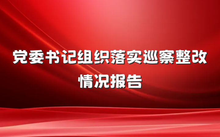 党委书记组织落实巡察整改情况报告