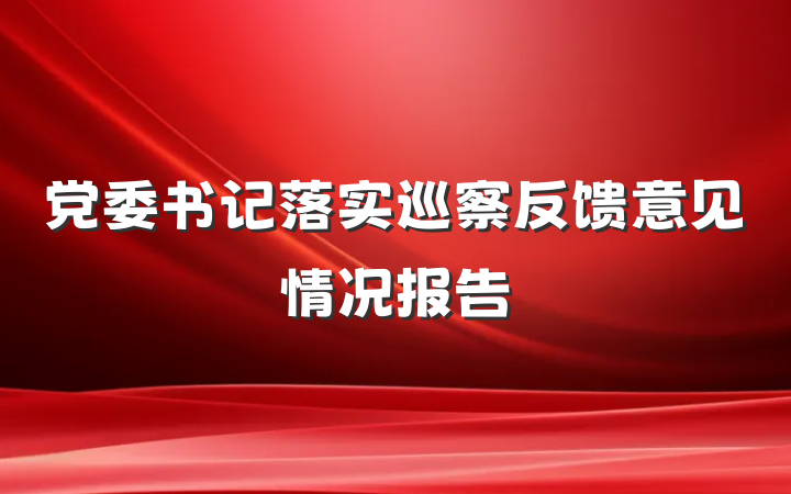 党委书记落实巡察反馈意见情况报告