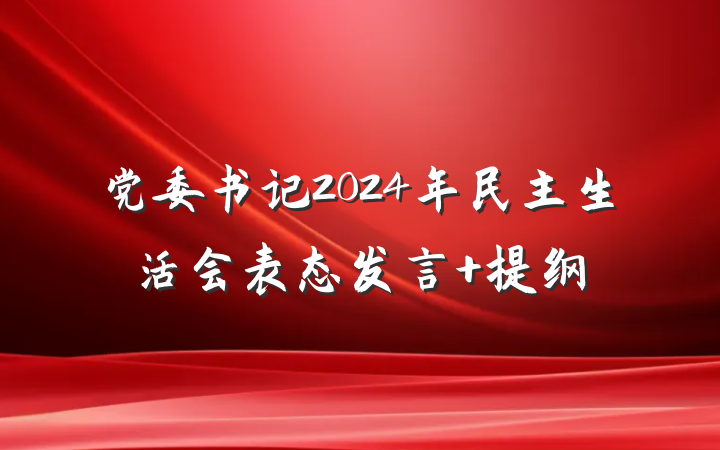 党委书记2024年民主生活会表态发言 提纲