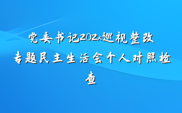 党委书记202x巡视整改专题民主生活会个人对照检查